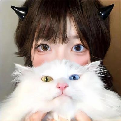 你是猪